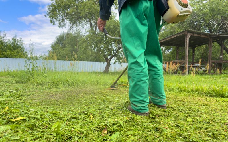 Contact About Lawn Removal