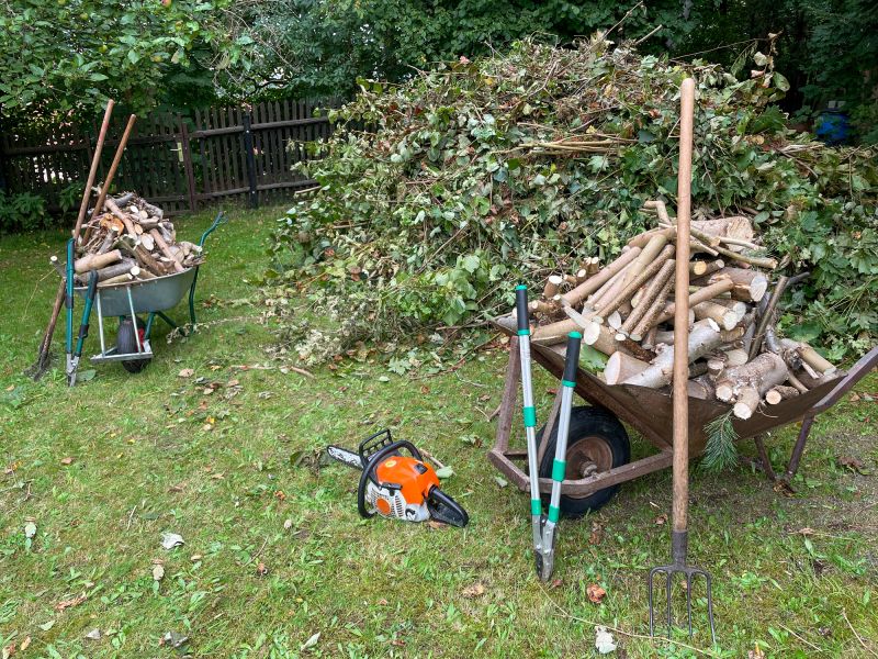 Lawn Removal