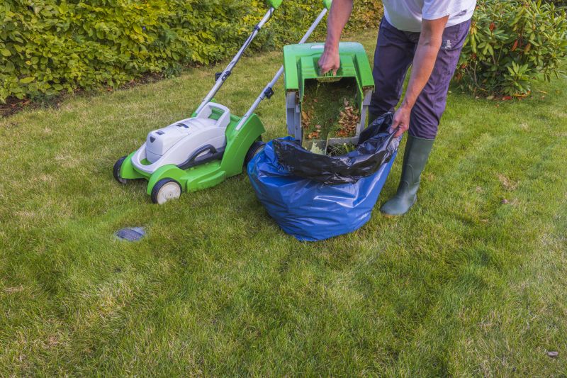 Lawn Removal